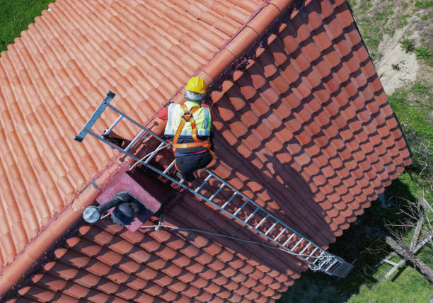 Best Roof Moss and Algae Removal  in Bullhead City, AZ